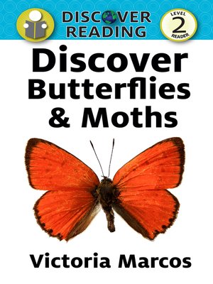 cover image of Discover Butterflies & Moths